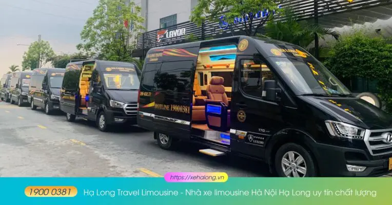 ha long travel limousine ha noi ha long