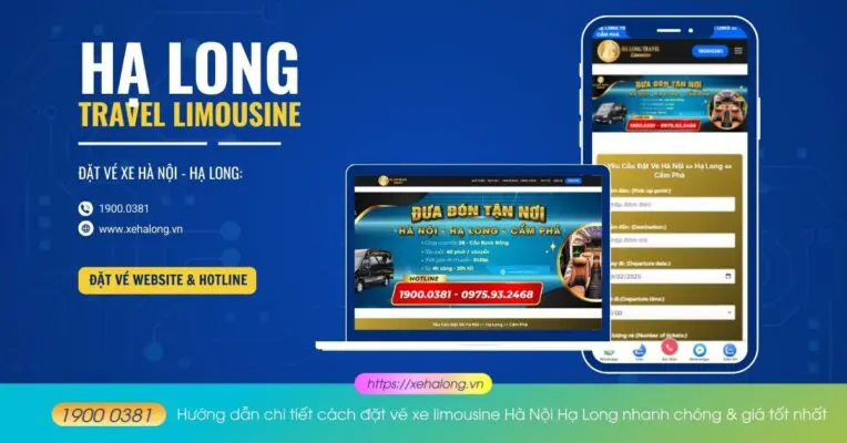 Hướng dẫn đặt vé xe limousine nhanh chóng & giá tốt nhất