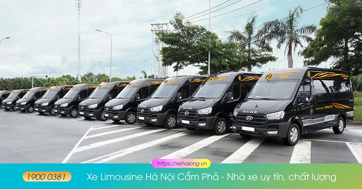 HÃNG XE 16 CHỖ PHỤC VỤ HÀNH KHÁCH ĐI TỪ CẨM PHẢ LÊN HÀ NỘI