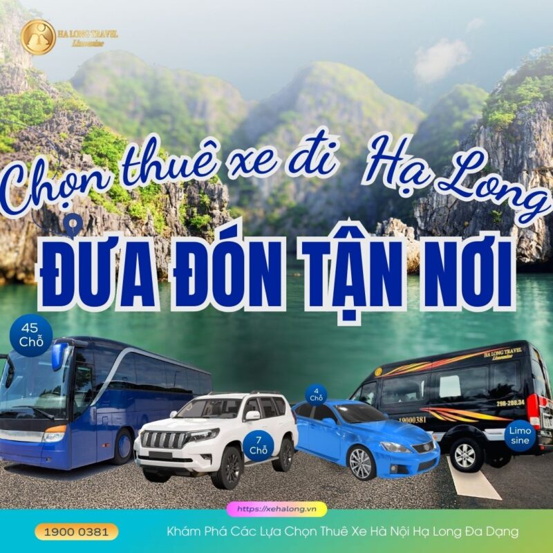 Khám Phá Các Lựa Chọn Thuê Xe Hà Nội Hạ Long Đa Dạng