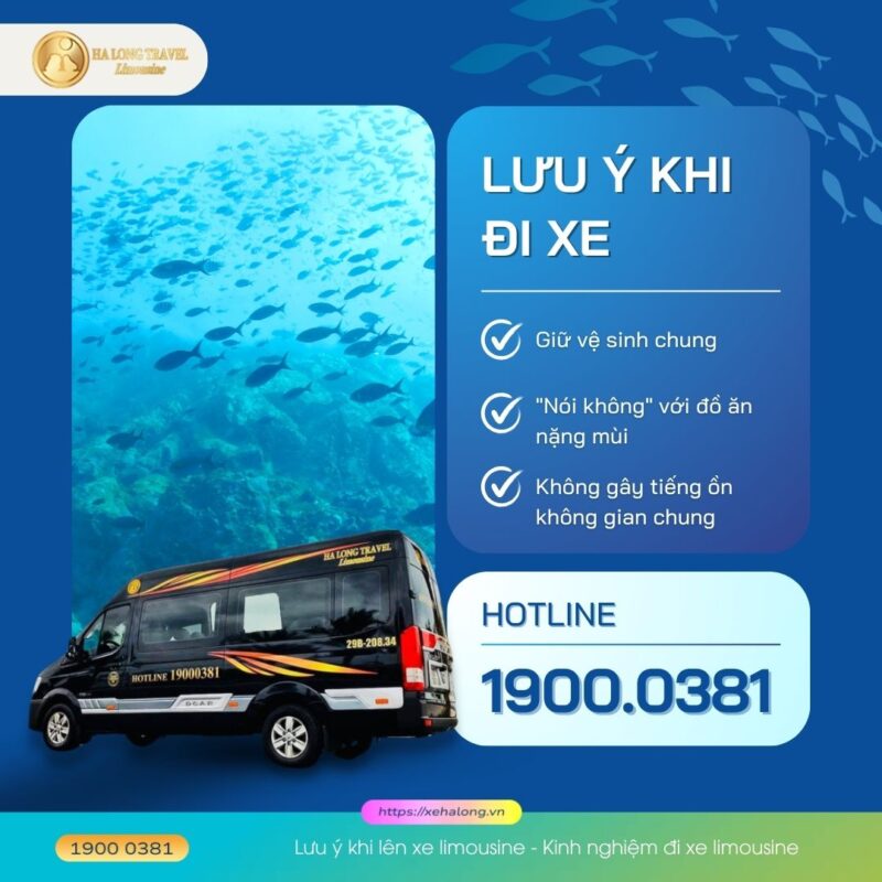 Lưu ý khi lên xe limousine - Kinh nghiệm đi xe limousine
