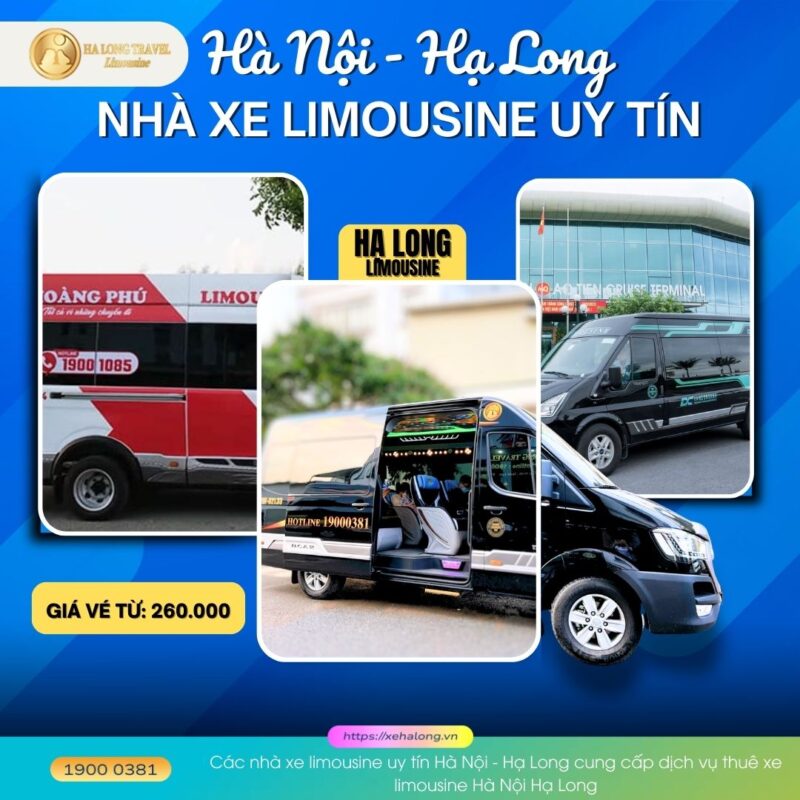 Các nhà xe limousine uy tín Hà Nội - Hạ Long cung cấp dịch vụ thuê xe limousine Hà Nội Hạ Long